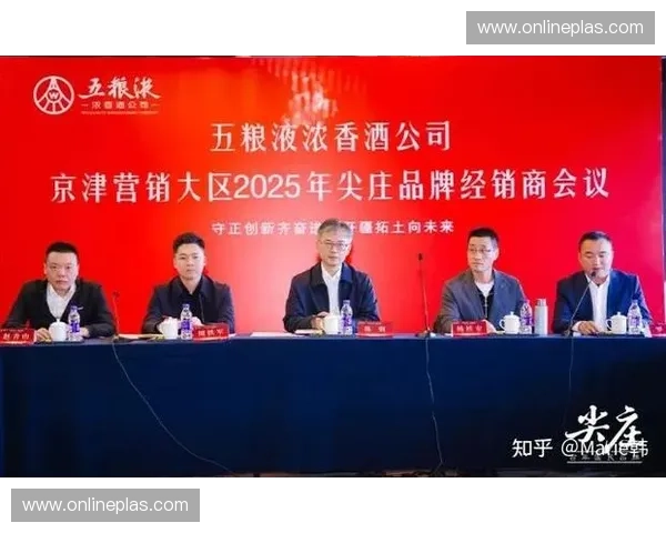 打造品牌影响力：如何通过精准营销提升商业推广效果